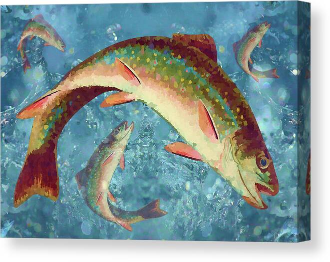 Wildlife Canvas Print featuring the digital art Rainbow Brook Trout Freshwater Fish Painting by Shelli Fitzpatrick