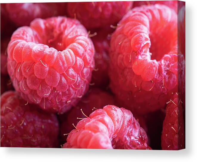 Raspberries Canvas Print featuring the photograph Raspberries by Lori Rowland
