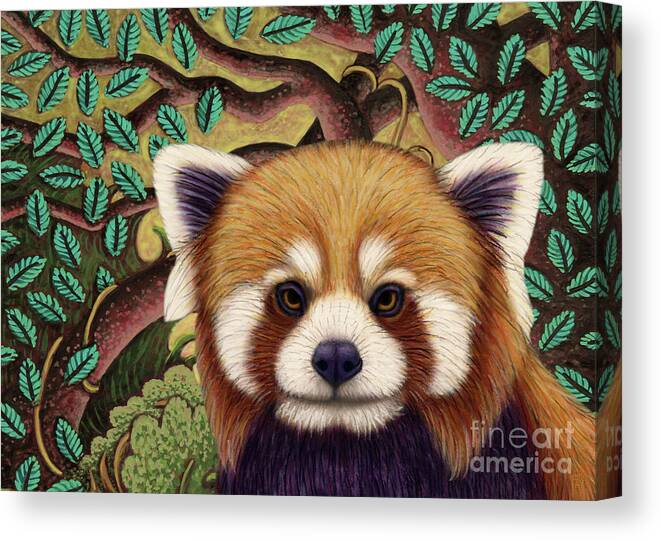 Red Panda Canvas Print featuring the painting Red Panda Jungle by Amy E Fraser