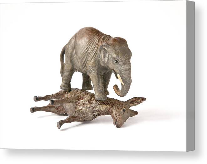 White Background Canvas Print featuring the photograph Republican elephant on top of democratic donkey by Bill Boch
