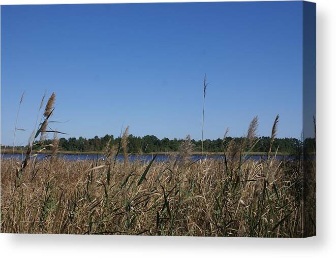  Canvas Print featuring the photograph River View by Heather E Harman