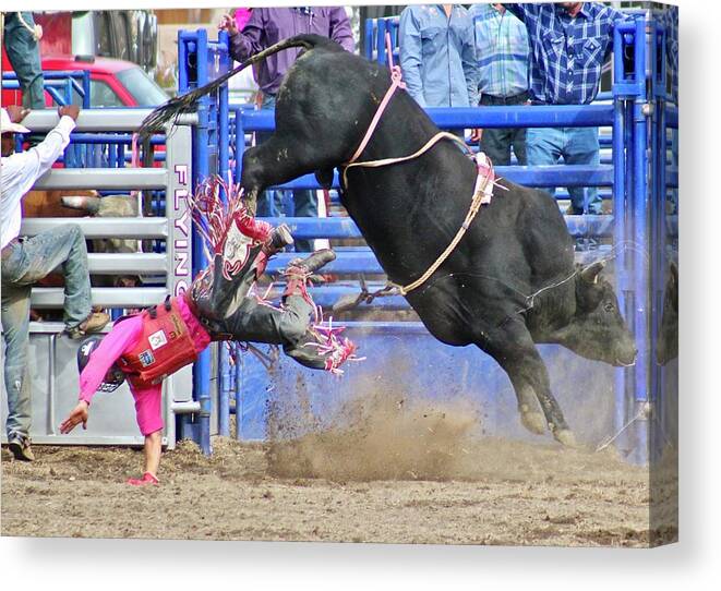 Rodeo Canvas Print featuring the photograph The Bull Wins by Joy Buckels