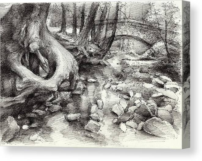Root Canvas Print featuring the drawing Roots and silent forest IV. by Adriana Mueller