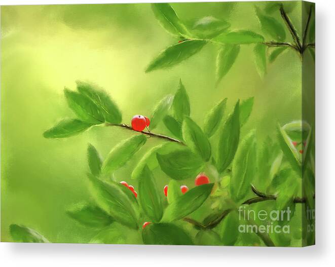 Berry Canvas Print featuring the digital art Rubies In The Forest by Lois Bryan