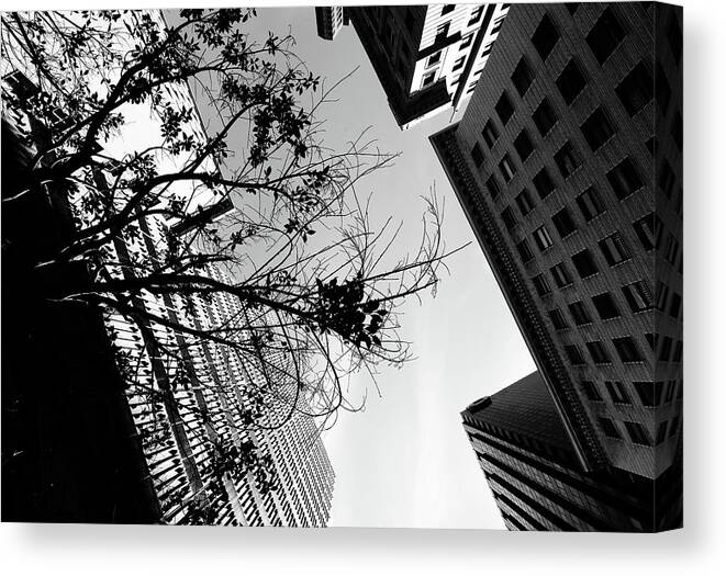 Street Photography Canvas Print featuring the photograph Run from Life by J C