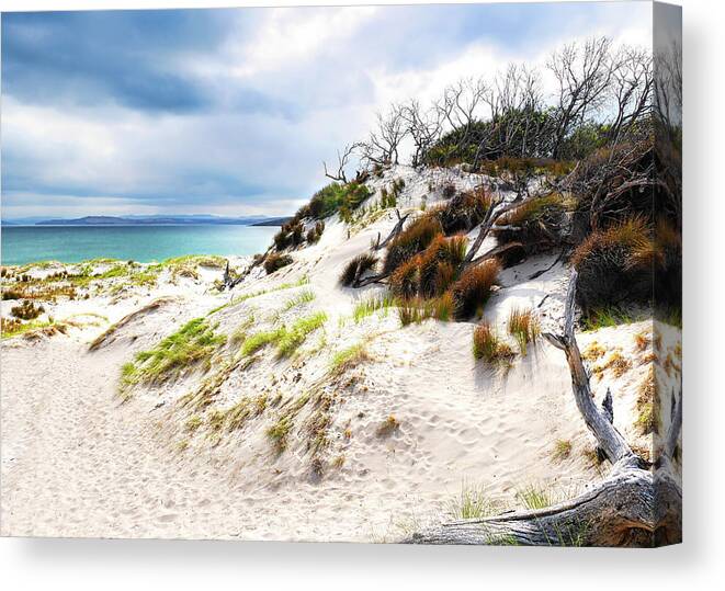 Beach Canvas Print featuring the photograph Sand Dunes Series 2 by Lexa Harpell