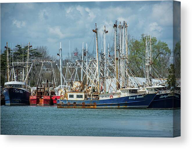 Trawlers Canvas Print featuring the photograph Sassy by Jamie Pattison