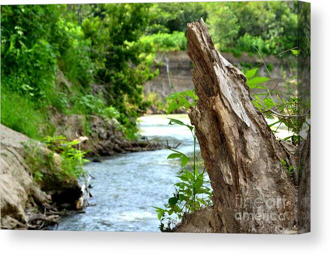 River Photography Canvas Print featuring the photograph Scenic River Bank by Expressions By Stephanie