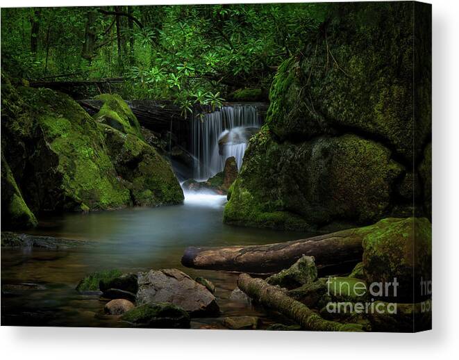 Waterfall Canvas Print featuring the photograph Secluded Waterfall by Shelia Hunt