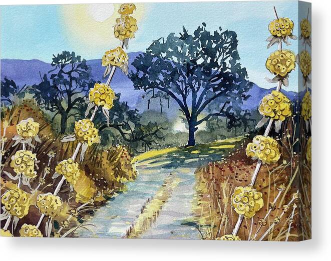 Malibue Canvas Print featuring the painting September morning light by Luisa Millicent