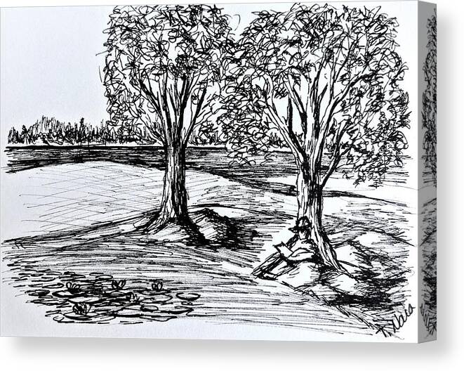 Black And White Canvas Print featuring the drawing Shade Trees by Tammy Nara
