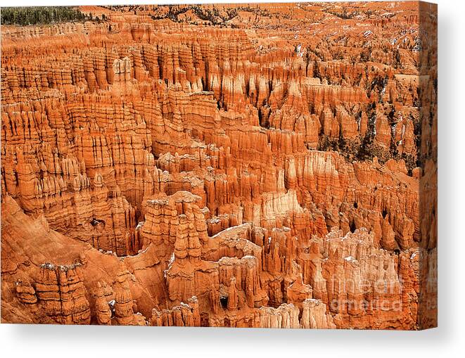 Dave Welling Canvas Print featuring the photograph Silent City From Inspiration Point Bryce Canyon National Park Utah by Dave Welling