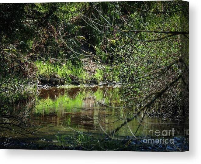 Pond Canvas Print featuring the photograph Simple Reflections by D Lee