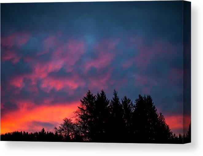 Astoria Canvas Print featuring the photograph Sky at Dusk and Conifers by Robert Potts