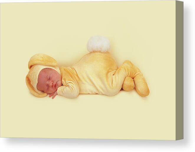 Bunnies Canvas Print featuring the photograph Sleeping Bunny #5 by Anne Geddes