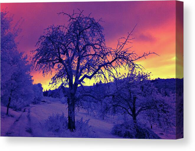 Infrared Canvas Print featuring the photograph Sonnenuntergang - Infrarot by Ioannis Konstas