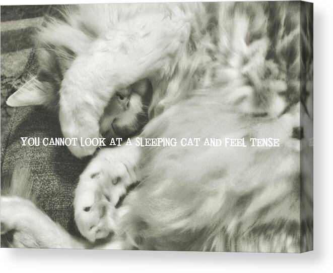 A Canvas Print featuring the photograph SOUND ASLEEP quote by Jamart Photography