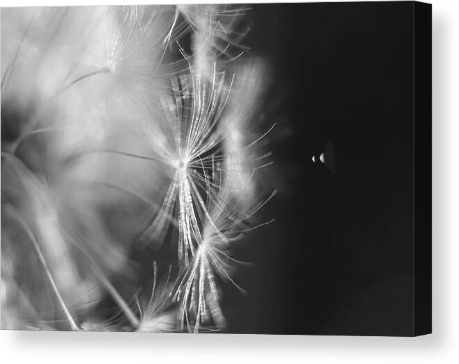 Space Canvas Print featuring the photograph Space Abstract Black and White Flower by Sandra J's