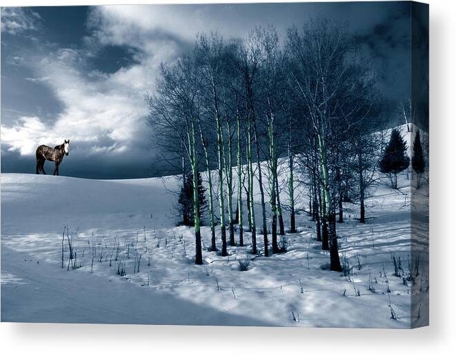 Spirit Canvas Print featuring the photograph Spirit Pony in Aspen by Wayne King
