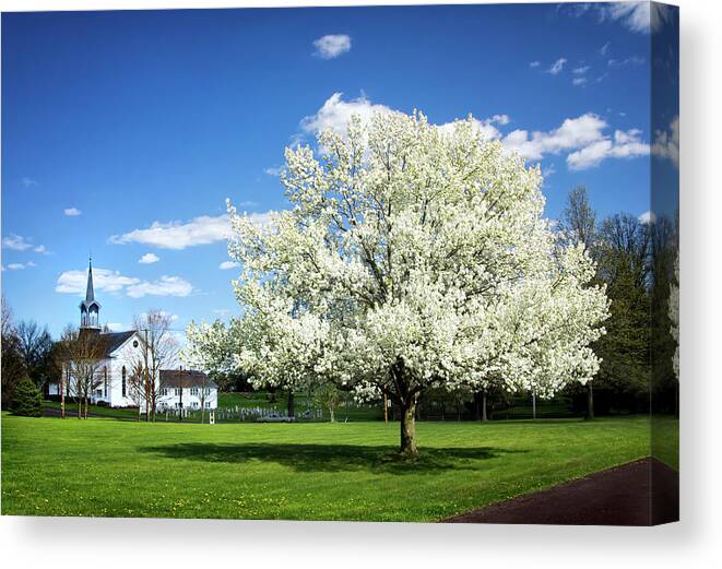 Spring In The Country Canvas Print featuring the photograph Spring in the Country by Carolyn Derstine