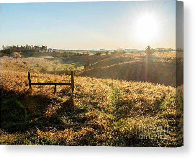 Spring Sun Canvas Print featuring the photograph Spring Sun by Troy Stapek