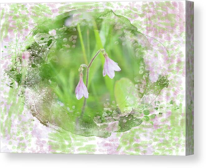 Easter Canvas Print featuring the mixed media Spring Twin Flower by Moira Law