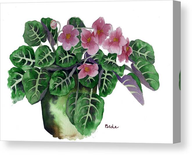 Africanviolet Pink Green Flower Watercolor Canvas Print featuring the painting Stormy by Catherine Bede