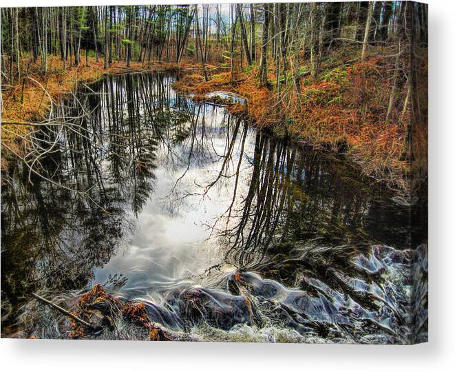 Stream Canvas Print featuring the photograph Stream in Granby by Cordia Murphy