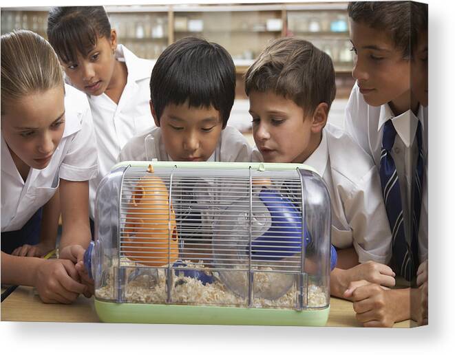 Education Canvas Print featuring the photograph Students in class with the class pet by OJO Images