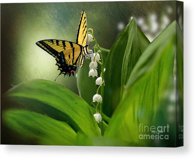 Butterfly Butterfly On Flower Canvas Print featuring the mixed media Swallowtail on Lily of the Valley by Morag Bates