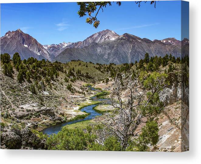  Canvas Print featuring the photograph _t__9337 by John T Humphrey