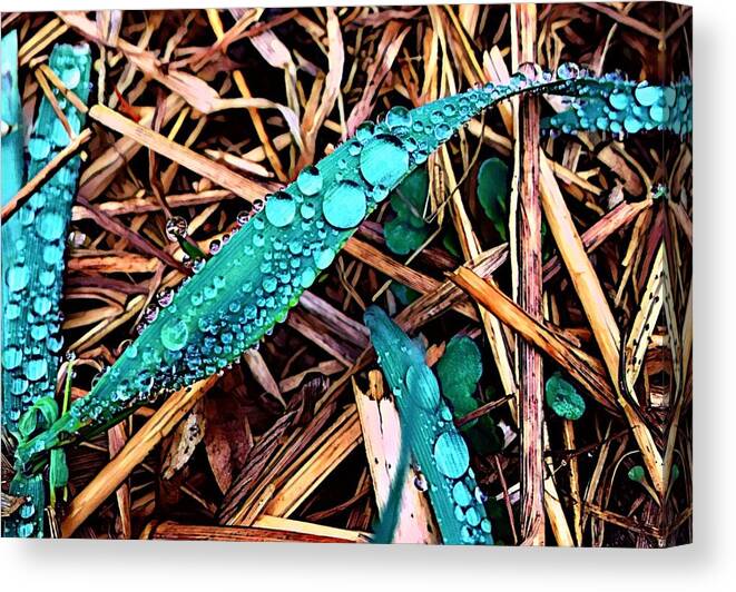  Canvas Print featuring the digital art Teal Droplets by Cindy Greenstein
