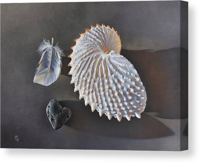 Nautilus Shell Canvas Print featuring the drawing The Elements by Elena Kolotusha