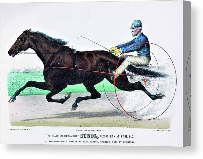 The Grand California Filly Sunol Canvas Print featuring the painting The grand California filly Sunol, record - Digital Remastered Edition by Louis Maurer
