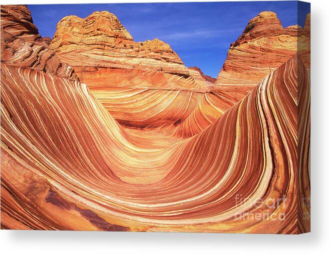 The Wave Canvas Print featuring the photograph The Wave, Coyote Butte, Arizona, USA by Neale And Judith Clark