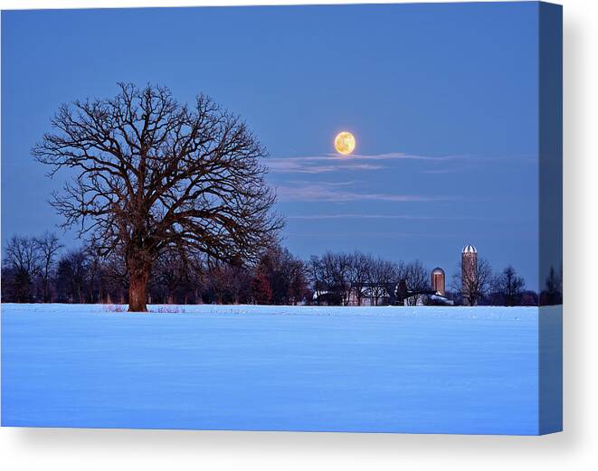 Moon Canvas Print featuring the photograph The Winter Blues - Wolf Moonrise with Lone Oak and WI Dairy Farm by Peter Herman