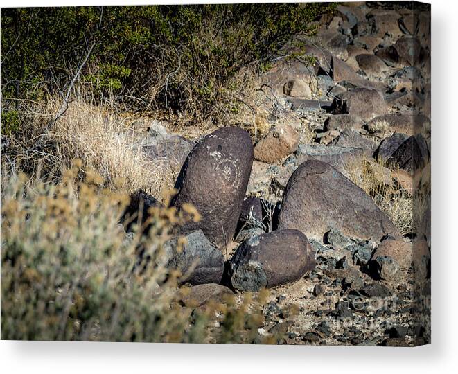 Ancient Canvas Print featuring the photograph Three Rivers Petroglyphs #20 by Blake Webster