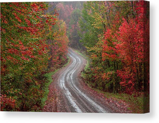 Fall Canvas Print featuring the photograph Through Change by Josh Eral