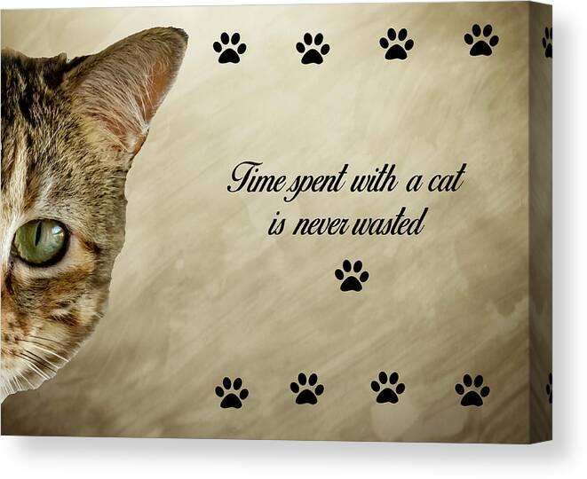 Cat Canvas Print featuring the photograph Time With A Cat by Cathy Kovarik
