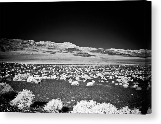 Leica M8 Canvas Print featuring the photograph Ubehebe Crater, Death Valley by Eugene Nikiforov