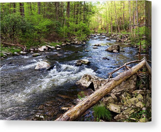 Catskills Canvas Print featuring the photograph Upstate New York - Ten Mile River Narrowsburg NY by Amelia Pearn