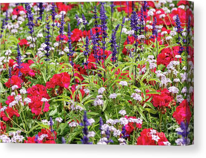 British Columbia Canvas Print featuring the photograph Vibrant Garden of Summer by Nancy Gleason