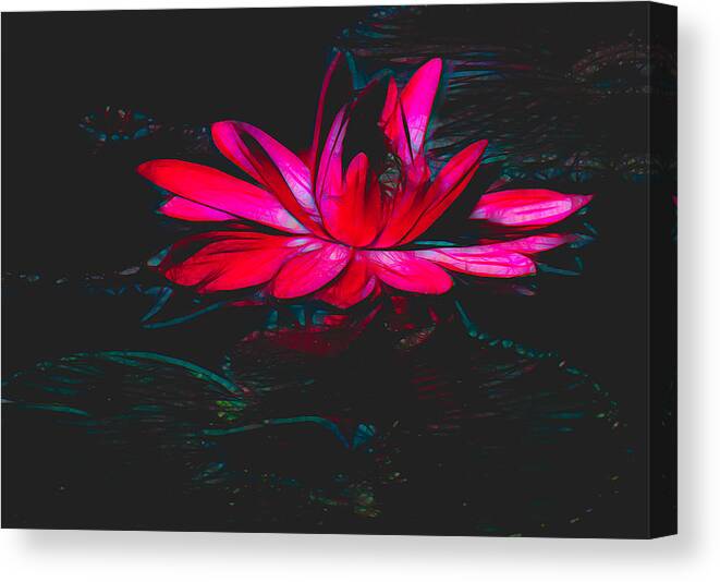 Water Lily Canvas Print featuring the mixed media Water Lily in Hot Pink by Rosalie Scanlon