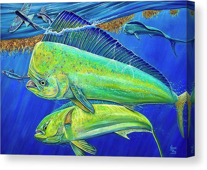 Mahi Mahi Canvas Print featuring the pastel Weed Eaters by Mark Ray