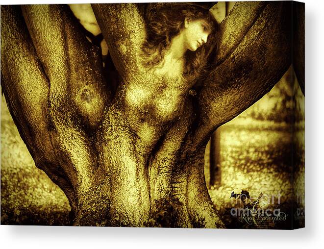 Old Tree Canvas Print featuring the mixed media What you see in a tree by Kira Bodensted