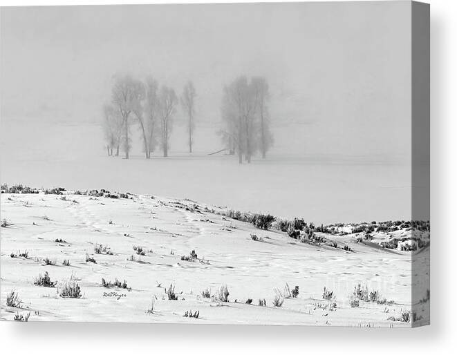 Nature Canvas Print featuring the photograph Whiteout by DB Hayes