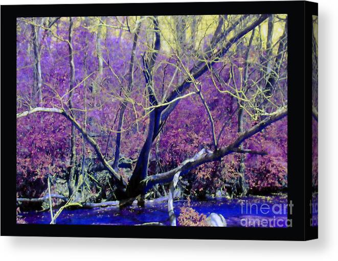 Canvas Print featuring the photograph Wild Branches by Shirley Moravec
