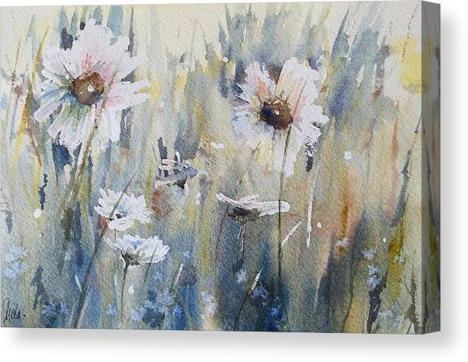 Watercolour Art Canvas Print featuring the painting Wild Daisies by Sheila Romard