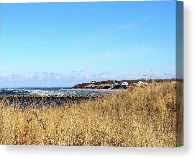 Winter Beach Canvas Print featuring the photograph winter on Cape cod by Sue Morris