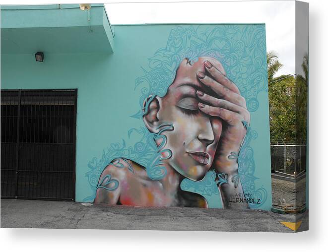 Graffiti Canvas Print featuring the photograph Wynwood Art District Mural, Miami, Florida by Earth And Spirit